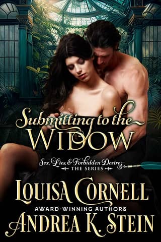 Submitting to the Widow by Andrea K. Stein