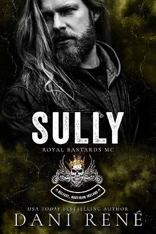 Sully by Dani René