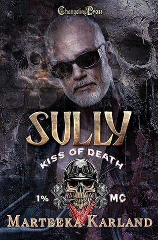 Sully by Marteeka Karland