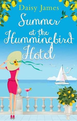 Summer at the Hummingbird Hotel by Daisy James