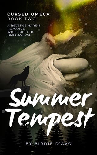 Summer Tempest by Birdie D’Avo