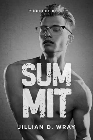 Summit by Jillian D. Wray
