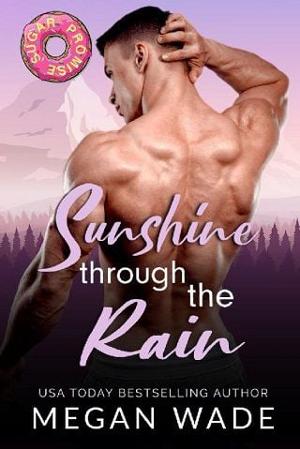 Sunshine Through the Rain by Megan Wade - online free at Epub