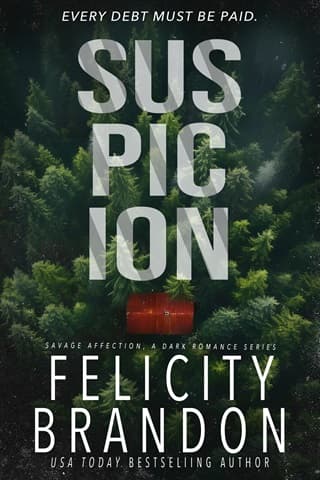 Suspicion by Felicity Brandon