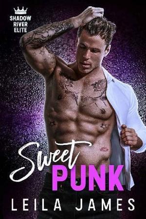 Sweet Punk by Leila James
