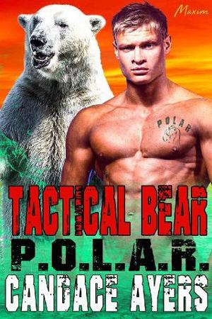 Tactical Bear by Candace Ayers