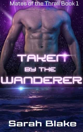 Taken By the Wanderer by Sarah Blake