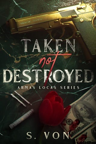 Taken, not Destroyed by S Von