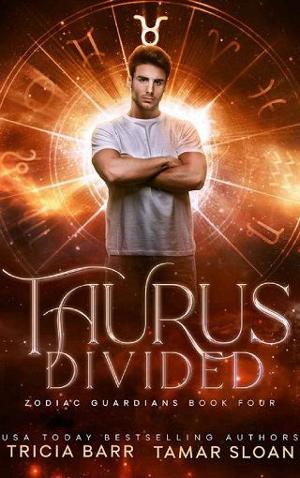 Taurus Divided by Tricia Barr
