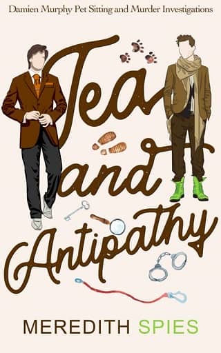Tea and Antipathy by Meredith Spies