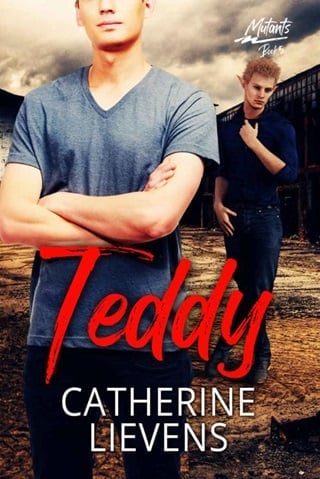 Teddy by Catherine Lievens