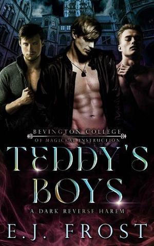 Teddy’s Boys by E J Frost