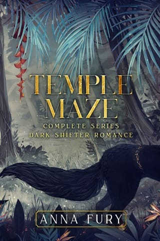 Temple Maze Complete Series by Anna Fury