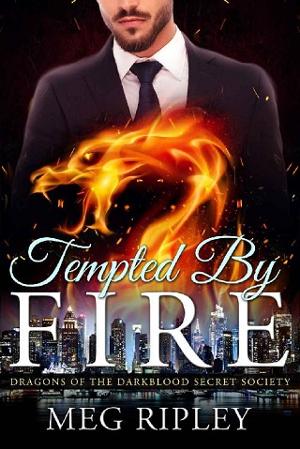 Tempted By Fire by Meg Ripley