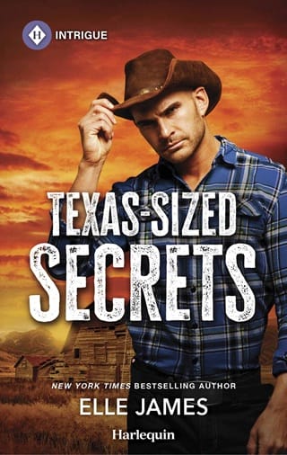 Texas-Sized Secrets by Elle James