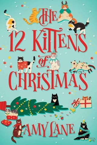 The 12 Kittens of Christmas by Amy Lane