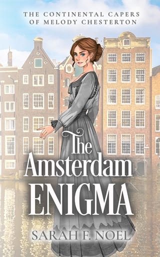 The Amsterdam Enigma by Sarah F. Noel