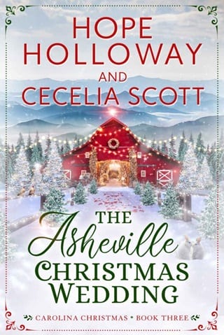 The Asheville Christmas Wedding by Hope Holloway