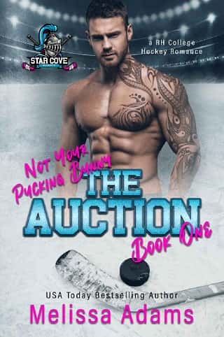 The Auction by Melissa Adams