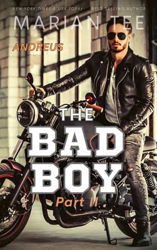 The Bad Boy, Part II by Marian Tee