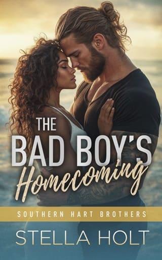 The Bad Boy’s Homecoming by Stella Holt