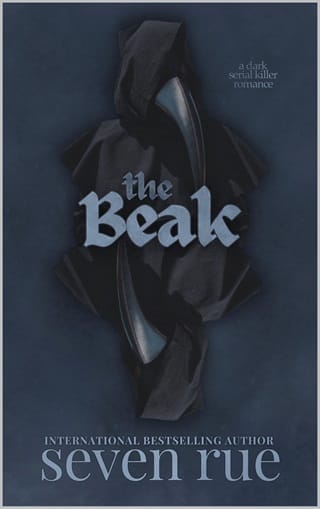 The Beak by Seven Rue