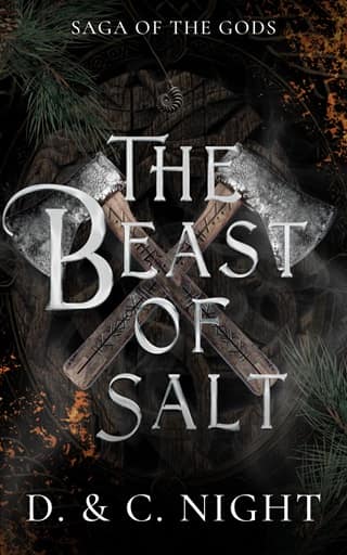 The Beast of Salt by D. & C. Night