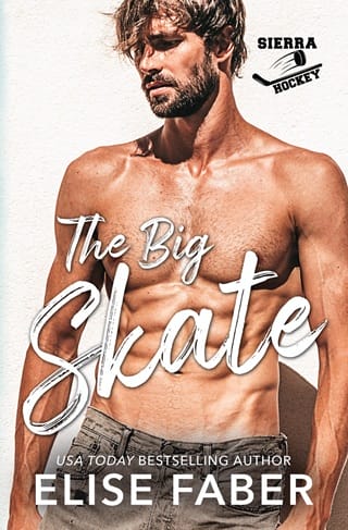 The Big Skate by Elise Faber