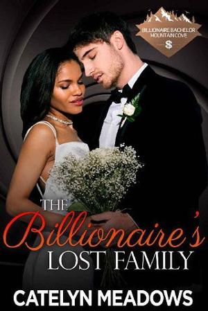 The Billionaire’s Lost Family by Catelyn Meadows