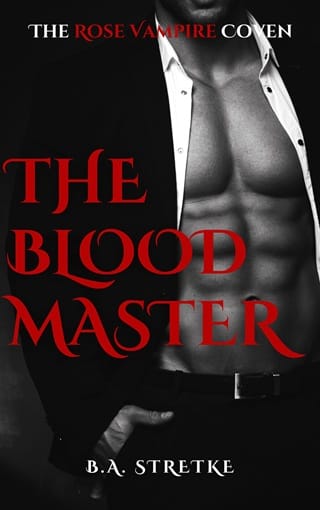 The Blood Master by B.A. Stretke