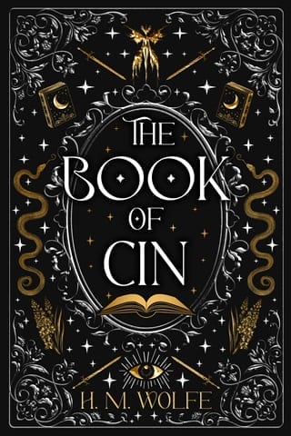 The Book Of Cin by H.M. Wolfe