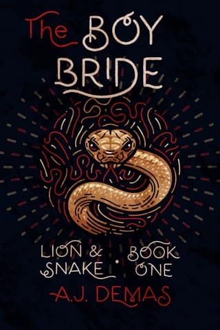 The Boy Bride by A.J. Demas