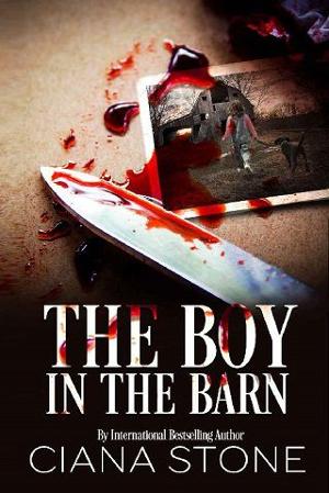 The Boy in the Barn by Ciana Stone