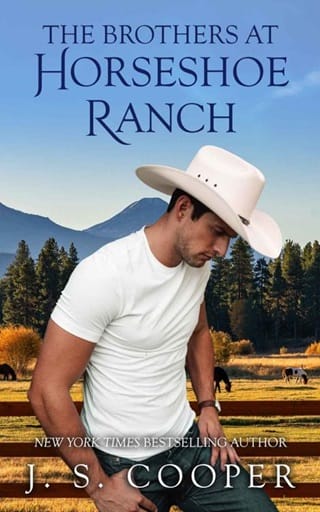 The Brothers at Horseshoe Ranch by J. S. Cooper