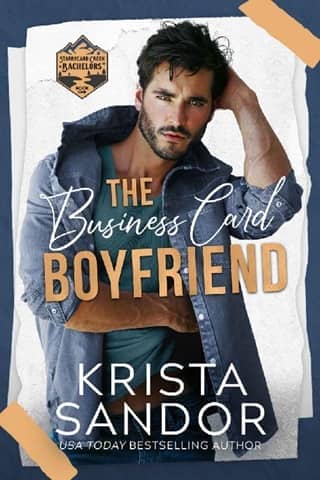 The Business Card Boyfriend by Krista Sandor