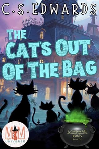 The Cat’s Out Of The Bag by C.S. Edwards