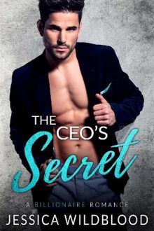 The CEO’s Secret by Jessica Wildblood