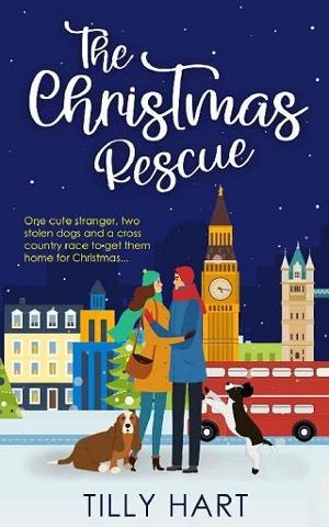 The Christmas Rescue by Tilly Hart