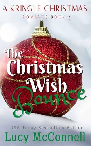 The Christmas Wish Bounce by Lucy McConnell