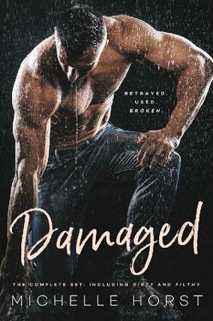 Damaged: The Complete Set by Michelle Horst