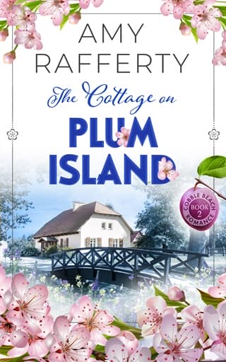 The Cottage on Plum Island by Amy Rafferty