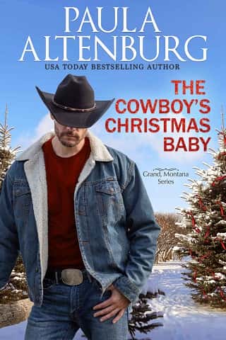 The Cowboy’s Christmas Baby by Paula Altenburg