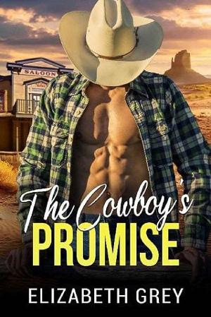 The Cowboy’s Promise by Elizabeth Grey