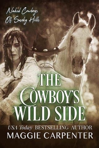 The Cowboy’s Wild Side by Maggie Carpenter