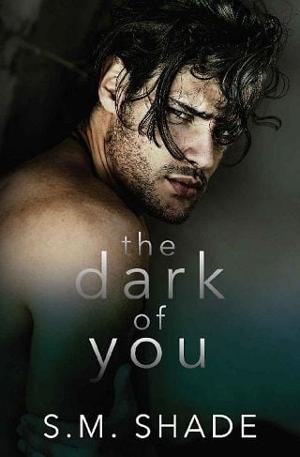 The Dark of You by S.M. Shade