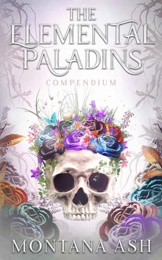 The Elemental Paladins Compendium by Montana Ash