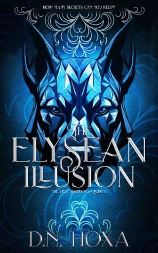 The Elysean Illusion by D.N. Hoxa