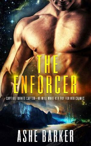 The Enforcer by Ashe Barker