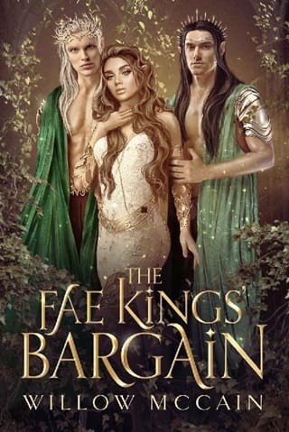 The Fae Kings’ Bargain by Willow McCain
