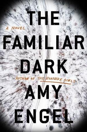 The Familiar Dark by Amy Engel